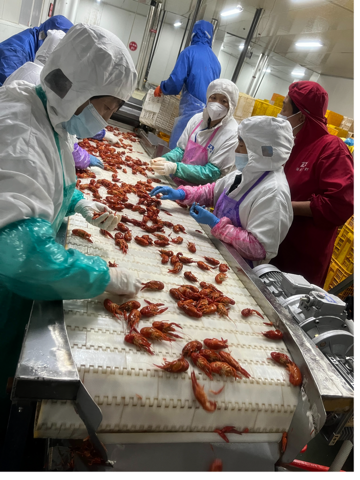 致富经稻田养龙虾_致富龙虾稻田养殖视频_致富经龙虾养殖视频稻田