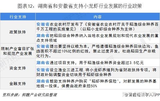 致富经稻田养龙虾_致富龙虾稻田养殖方法_稻田养龙虾国家补贴多少钱一亩