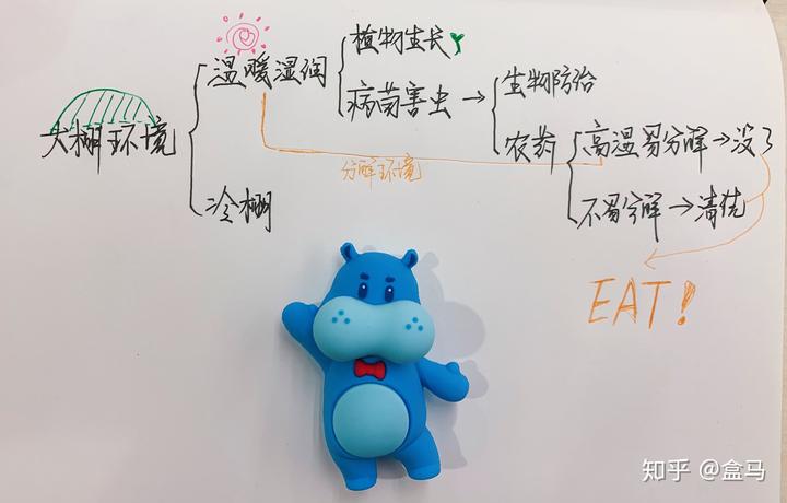 大棚种枣种植技术_枣树大棚_枣树大棚搭建技术