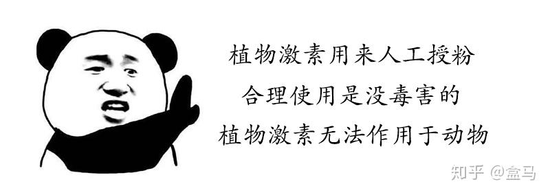 大棚种枣种植技术_枣树大棚_枣树大棚搭建技术