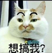 枣树大棚搭建技术_大棚种枣种植技术_枣树大棚
