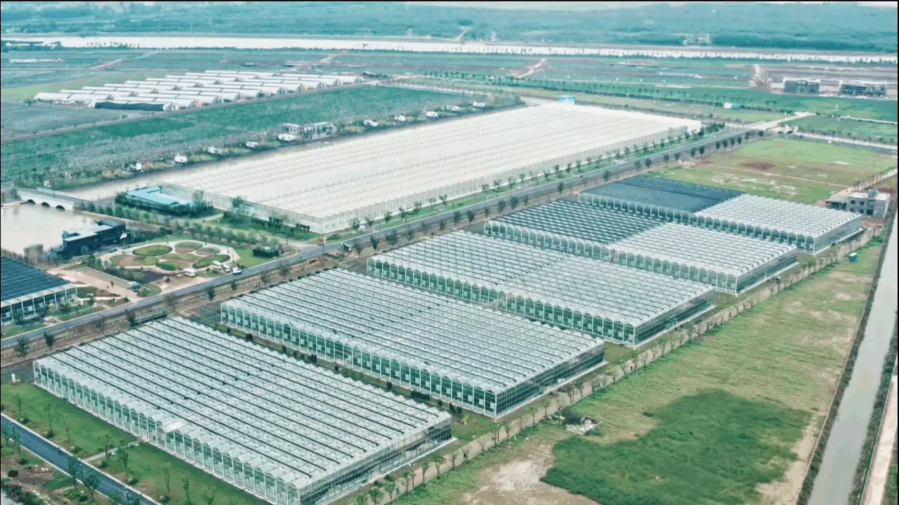 云遇中国·夏日原味|江西南昌：“智慧番茄”的致富经
