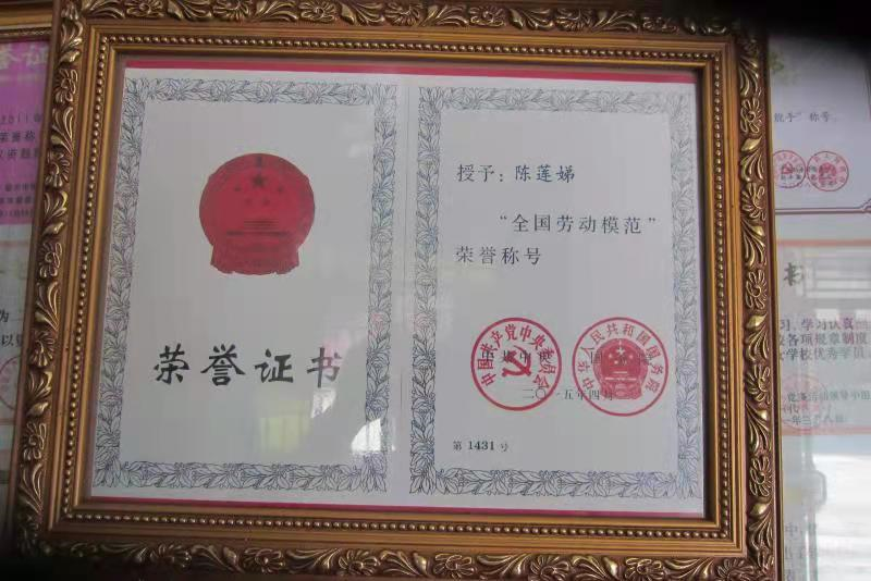 草菇种植效益_农民种植草菇致富_致富种植农民草菇的意义