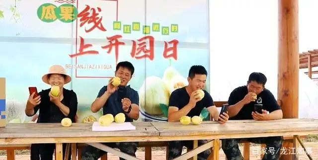 香瓜高产种植技术视频_香瓜产业_香瓜致富经