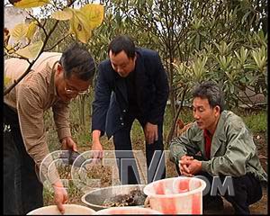 CCTV7致富经震泽镇龟鳖养殖_CCTV7致富经震泽镇龟鳖养殖_CCTV7致富经震泽镇龟鳖养殖