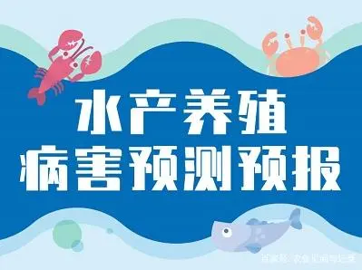 养殖鲫鱼的池塘条件_江苏鲫鱼苗养殖基地_江苏池塘养殖鲫鱼技术