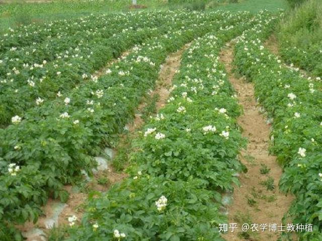 貉子养殖致富_致富养殖貉子视频_养殖貉子能赚钱吗