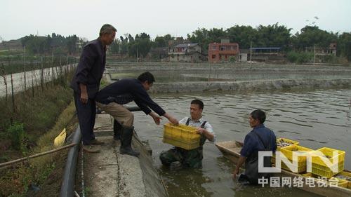 养泥鳅的成本和经济效益_泥鳅养殖条件骗局_致富经哪人养泥鳅