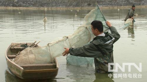 养泥鳅的成本和经济效益_泥鳅养殖条件骗局_致富经哪人养泥鳅