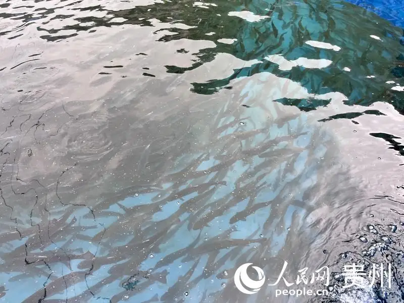养殖致富配图_致富养殖配图高清_致富养殖语