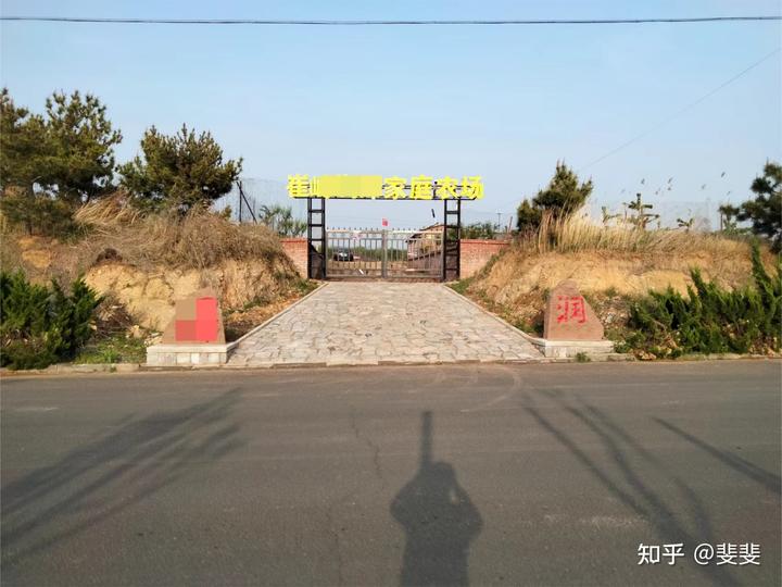 农场种植致富案例_农致富项目_致富经农业种植