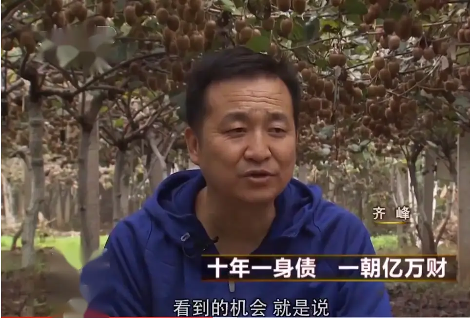 致富经猕猴桃种植视频_致富猕猴桃种子图片_致富经 种猕猴桃