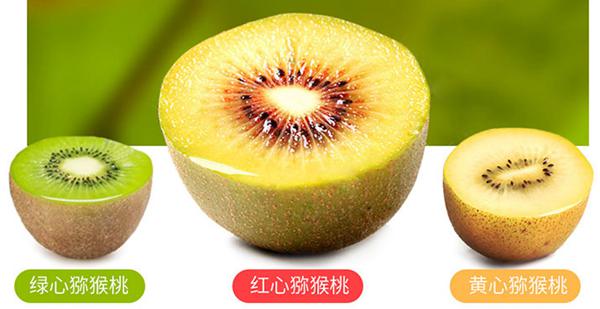 绿心、黄心、红心，不同颜色的猕猴桃有什么区别