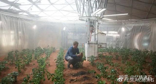 您知道吗？沸石肥料被用作外太空间耕作的必要农资已有14年！