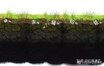 太空种植技术中心是什么_太空中种植技术_太空育种植物