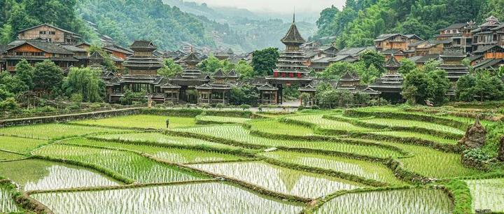 农村种植致富案例_农场种植致富案例_致富经农业种植