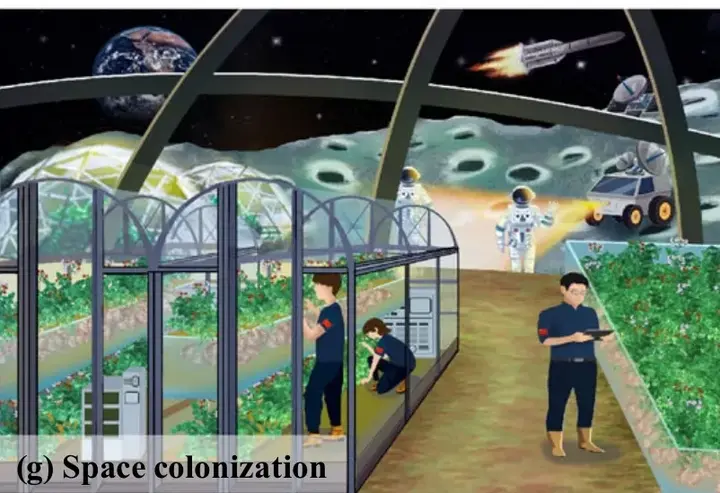 太空育种植物_太空中种植技术_太空种植植物
