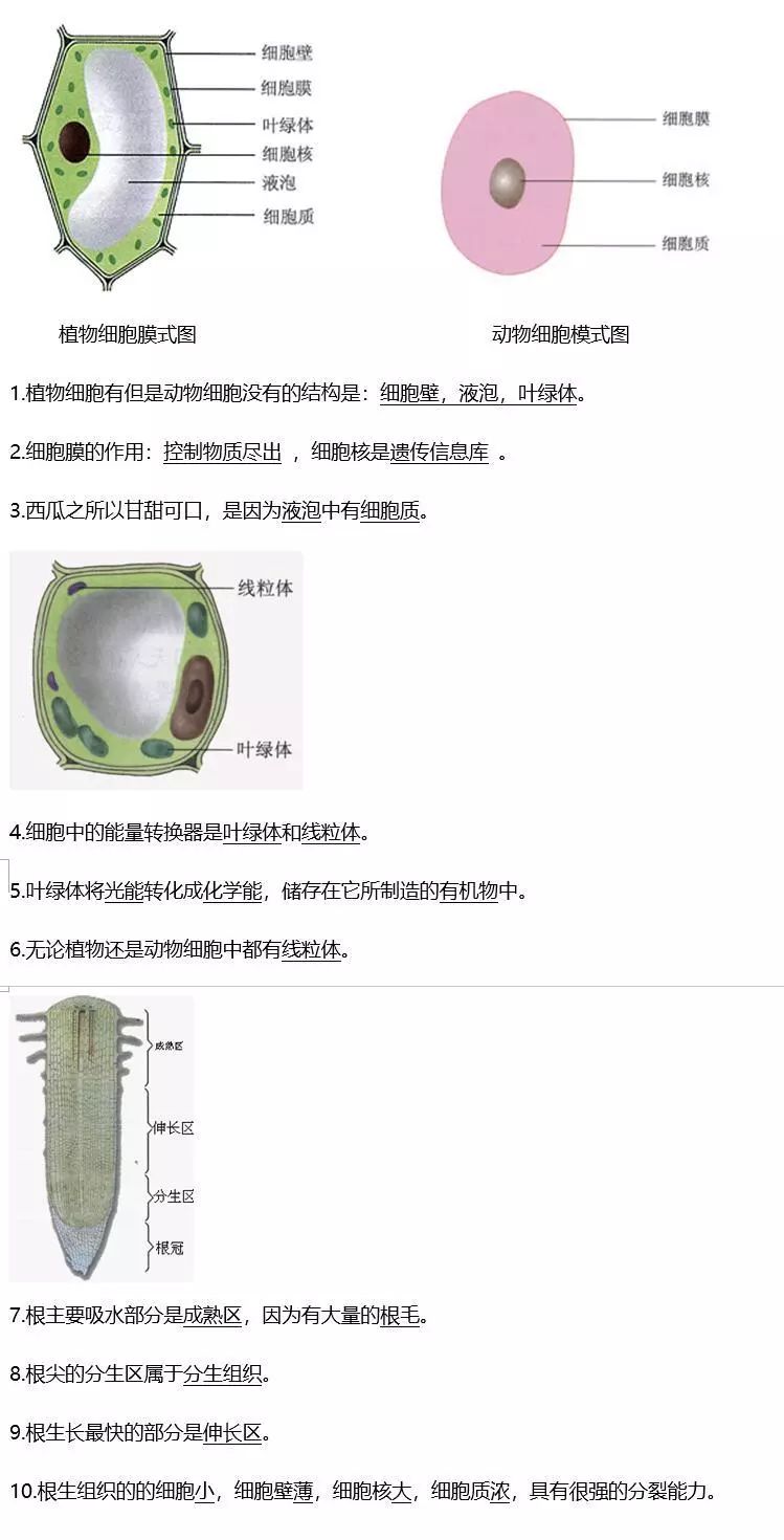 烟草种植技术视频大全_烟草种植全过程_烟草怎么种植方法视频
