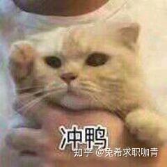 优质回答需要审核多久_优质回答的经验分享_优秀回答