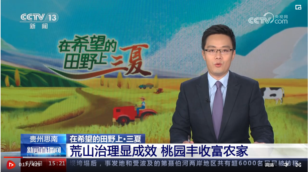 昔日荒山变为幸福“金山” 桃园变成农民增收“致富园”
