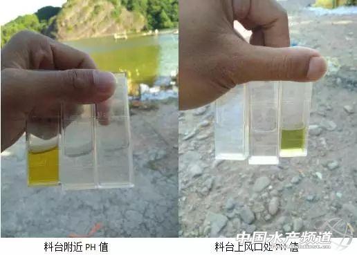 草鱼养殖技术与利润_大草鱼怎么养殖技术_养殖草鱼技术大全