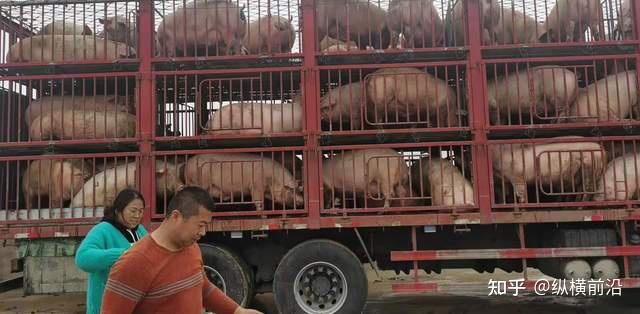 养殖致富能手事迹_养殖致富带头人先进事迹_养殖致富榜样