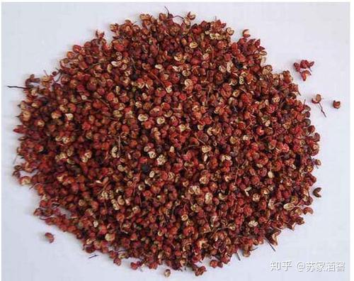 辣椒怎样种植和打药_药材辣椒秧种植方法_药用辣椒种植技术