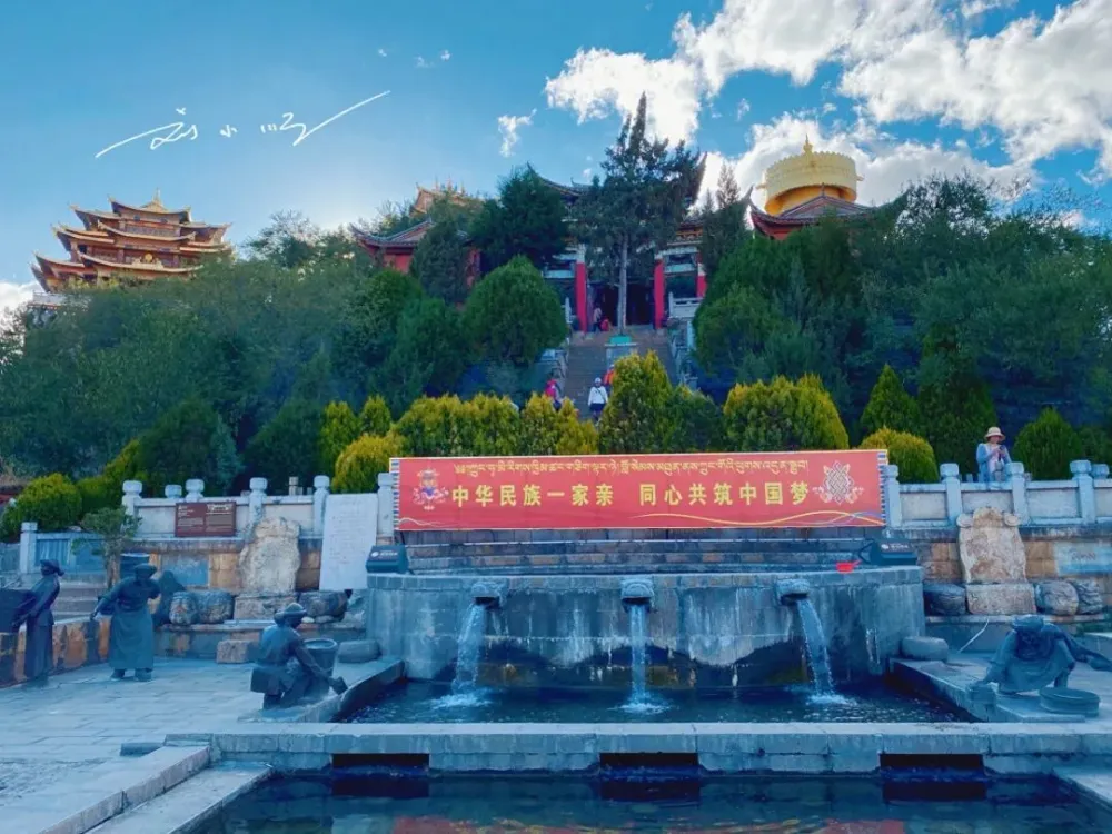 致富经最大乌龟_养乌龟致富_致富经乌龟养殖场的视频