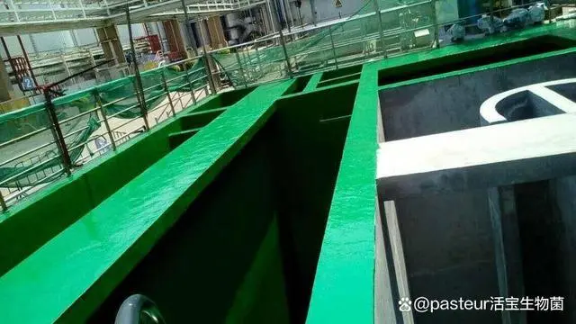 对虾基地养殖_对虾养殖技术的具体地址_排名前十的对虾养殖场