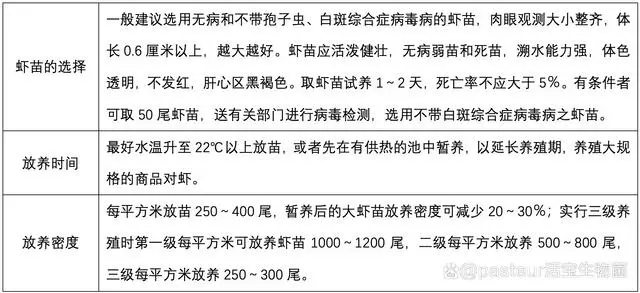 对虾基地养殖_对虾养殖技术的具体地址_排名前十的对虾养殖场