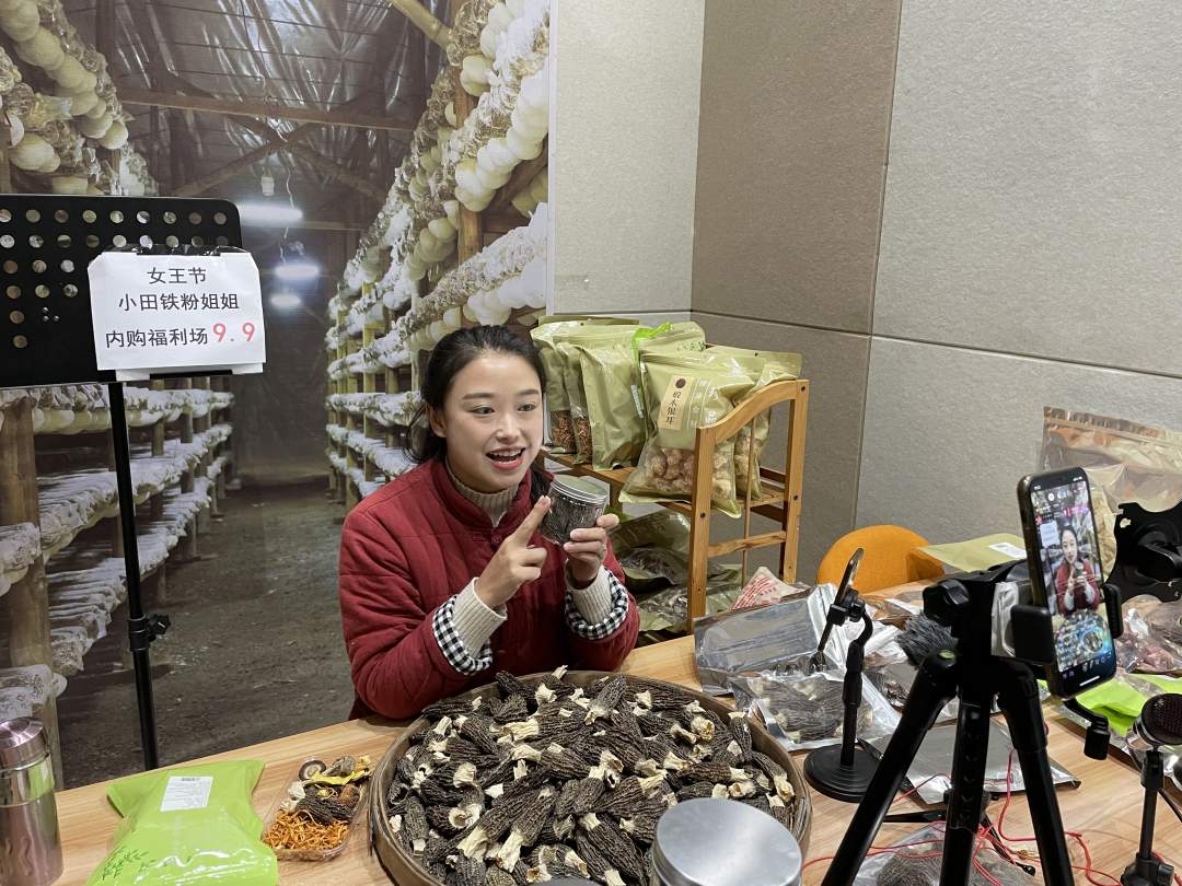 视频致富直播红菇是真的吗_农业致富视频_致富经红菇视频直播