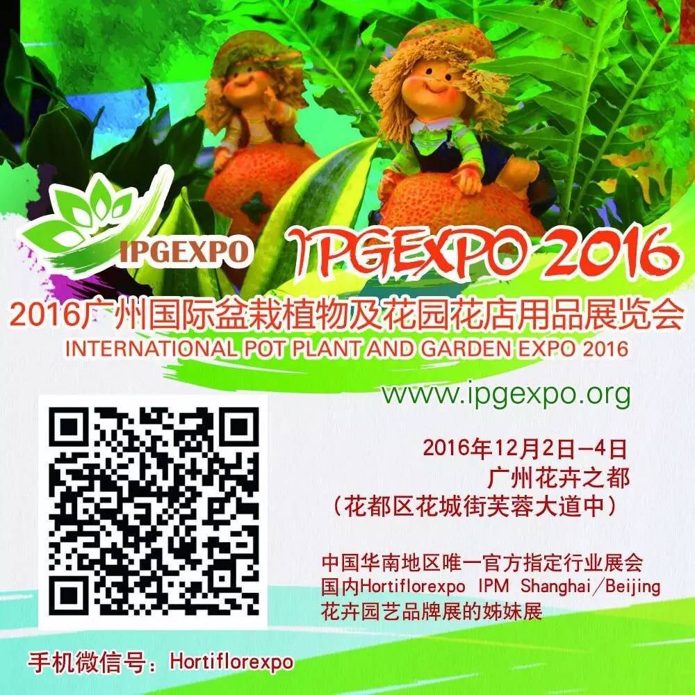 映山红养殖技术_映山红养殖注意事项_映山红养植方法