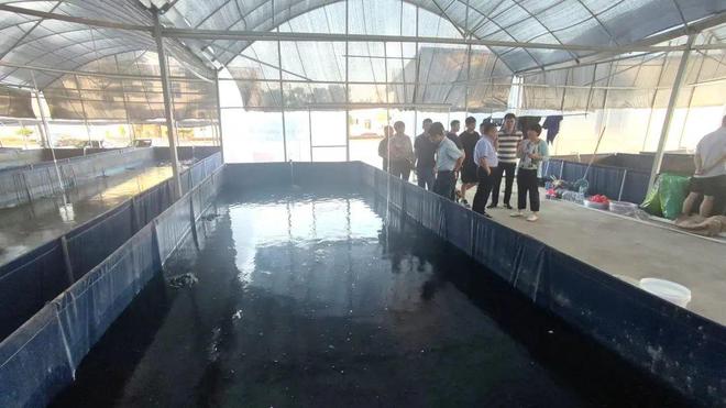 海水养殖致富宝典_海水养殖好项目_海水养殖什么最赚钱