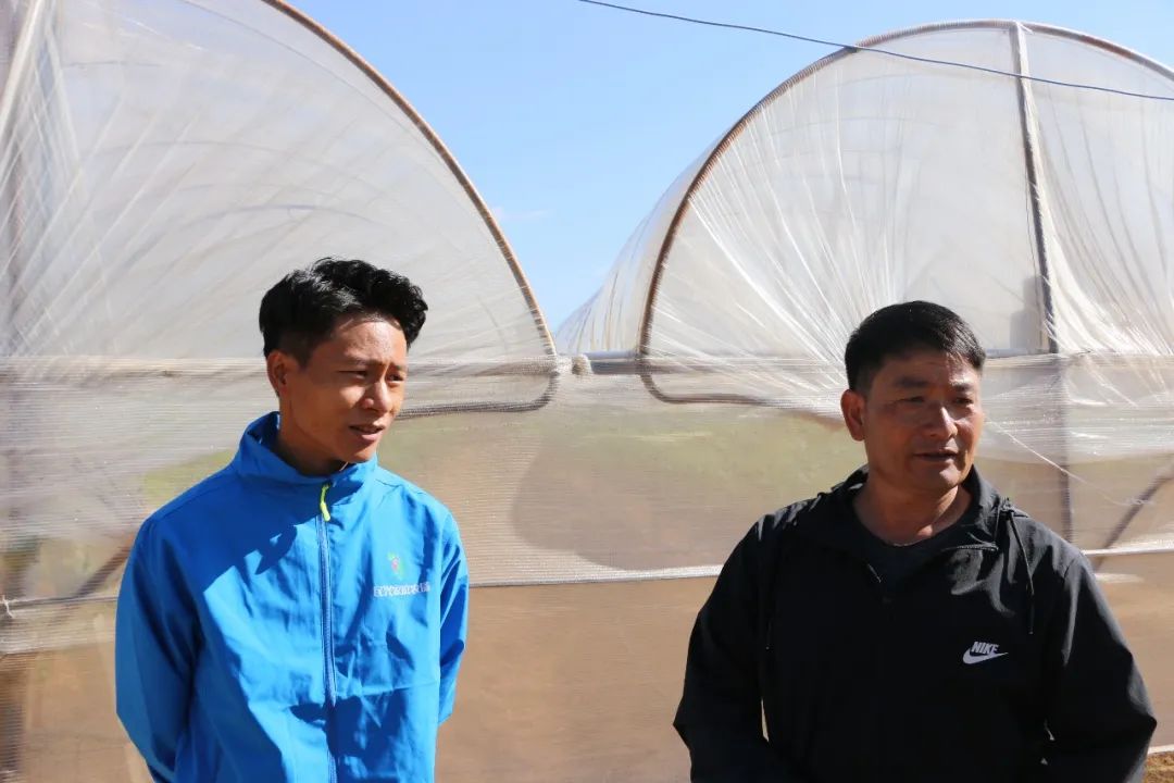 农村致富新项目种植_农村致富种植什么好_农村家庭种植致富