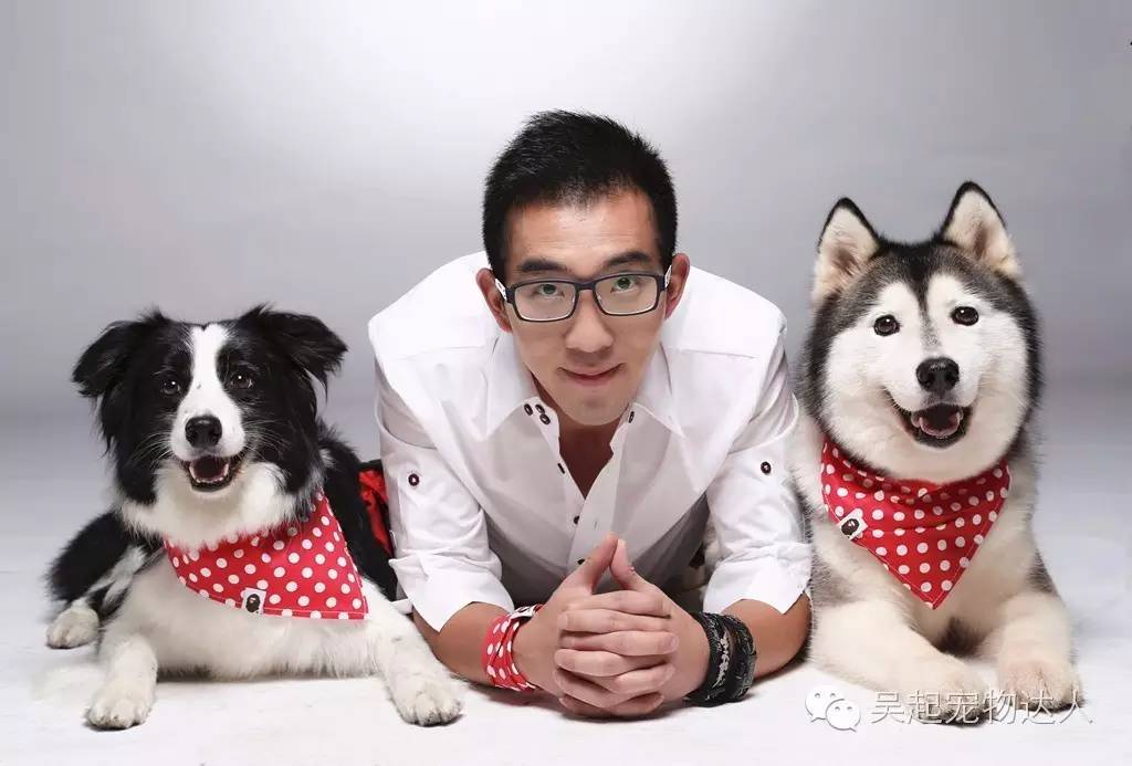 养宠物狗致富_养狗致富经_致富项目养狗