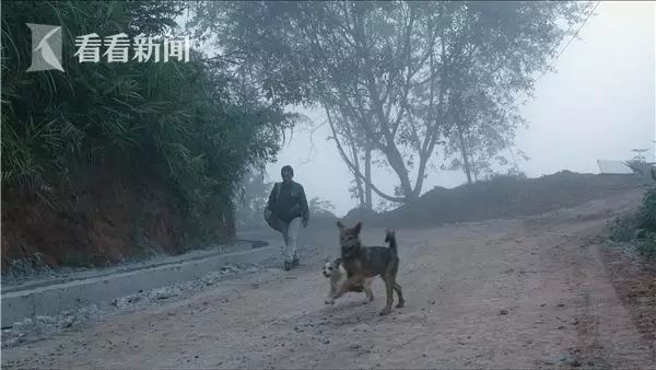 农村致富新项目种植_农村致富项目种植业_农村家庭种植致富