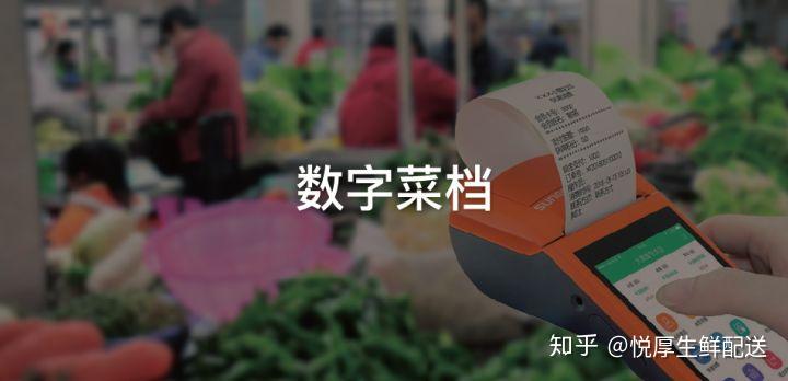 致富养殖黑豚鼠_黑豚鼠养殖技术与利润_致富养殖黑豚鼠怎么样