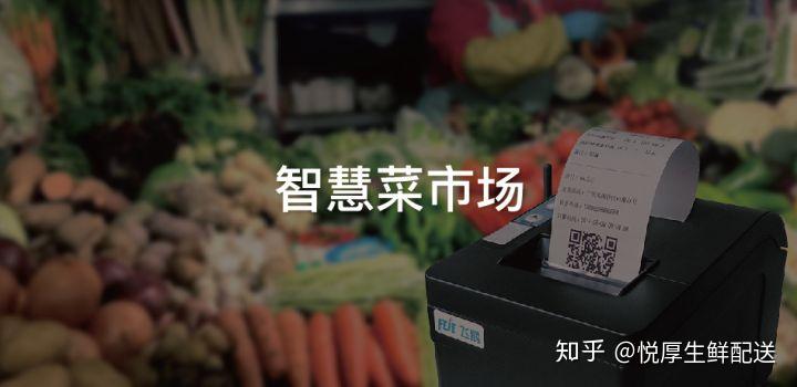 黑豚鼠养殖技术与利润_致富养殖黑豚鼠怎么样_致富养殖黑豚鼠