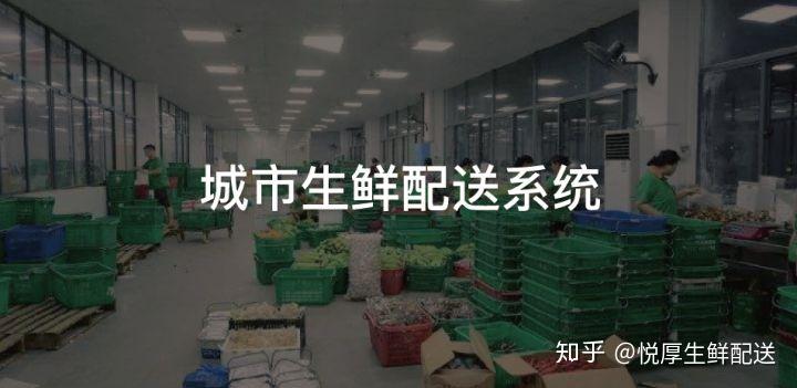 致富养殖黑豚鼠_致富养殖黑豚鼠怎么样_黑豚鼠养殖技术与利润