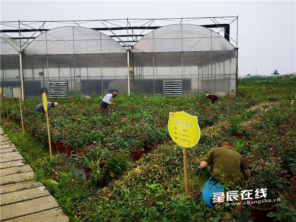 李春华致富经_致富经李春华_李春华捐款