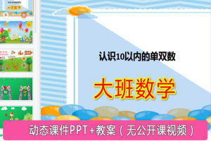 大班数学课件《认识10以内的单双数》优秀PPT+教案（无公开课视频）