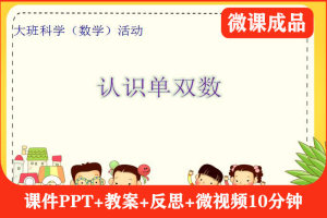 版本1大班数学《认识单双数》微课视频+PPT课件+教案+反思