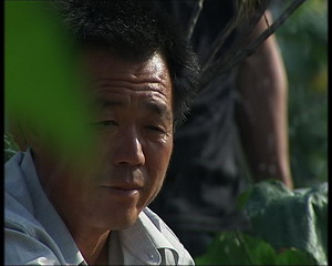 致富经黄鳝养殖视频_致富经黄鳝养殖全集_致富全集养殖黄鳝视频