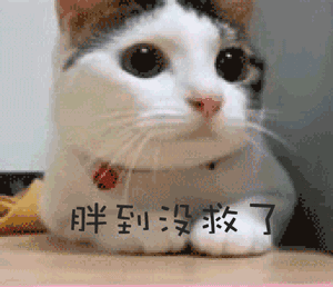致富经 重庆云阳欧施春_致富经 重庆云阳欧施春_致富经 重庆云阳欧施春