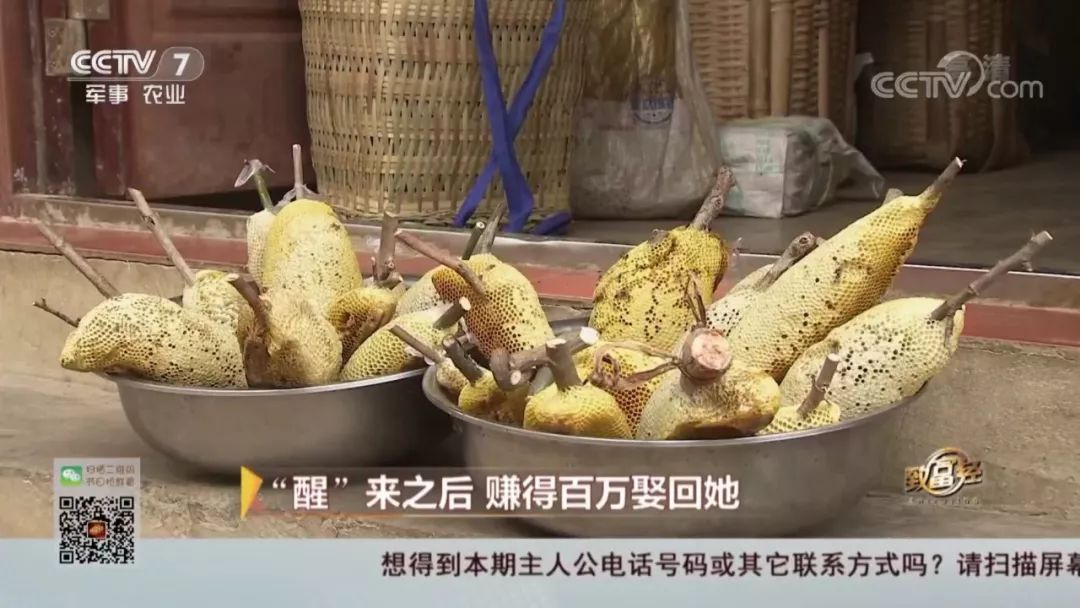 cctv7创业致富经网站_致富创业之路_致富创业网下载