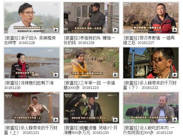 致富经视频 养鸡_养鸡视频致富经_致富经养殖鸡视频