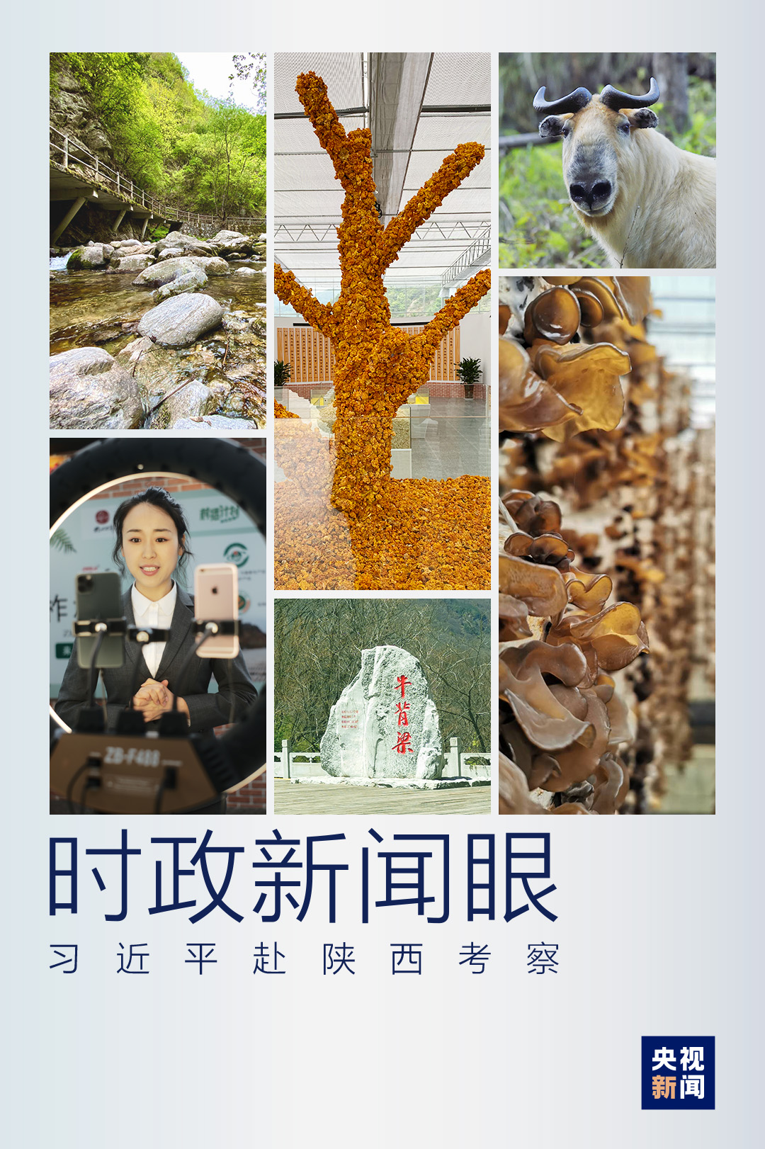 致富经林麝_林麝养殖骗局_致富经林麝养殖视频