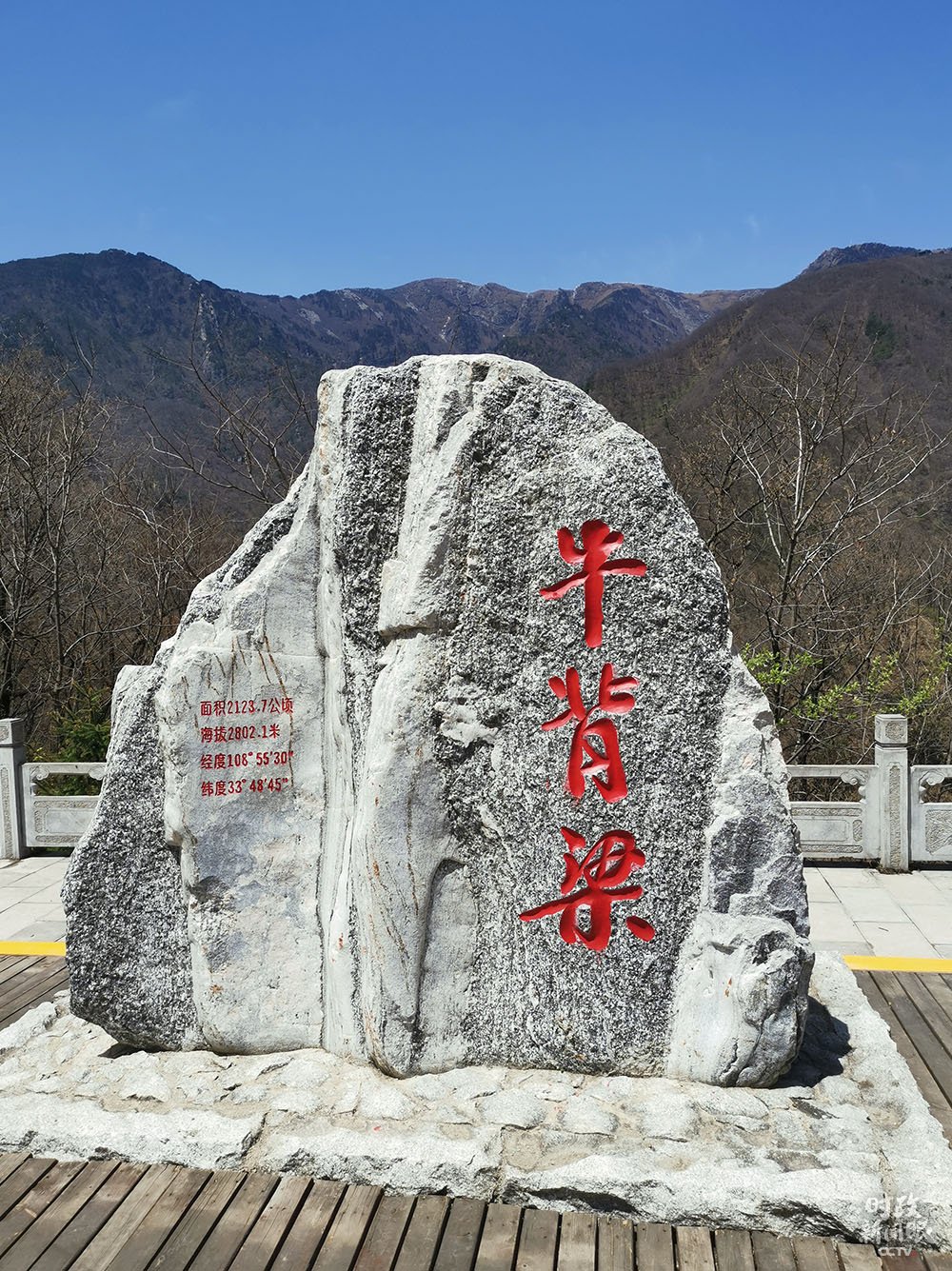 致富经林麝_致富经林麝养殖视频_林麝养殖骗局