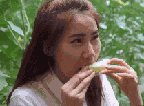 广东香瓜种植技术_香瓜种植基地_惠州种植香瓜致富