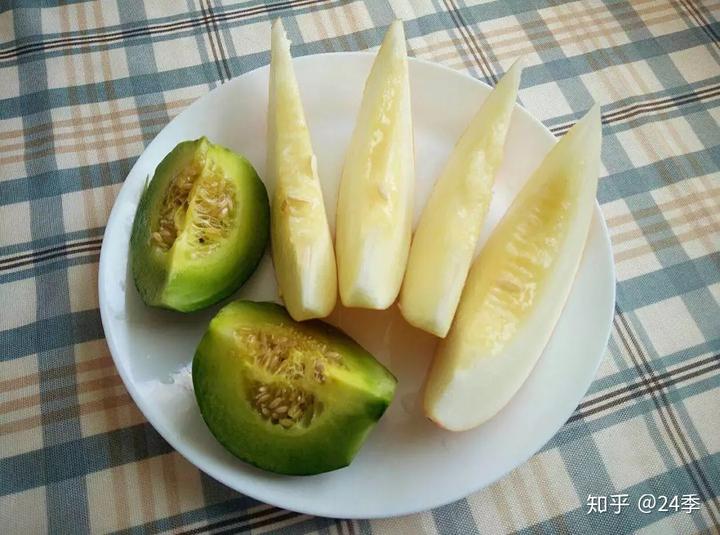 广东香瓜种植技术_香瓜种植基地_惠州种植香瓜致富